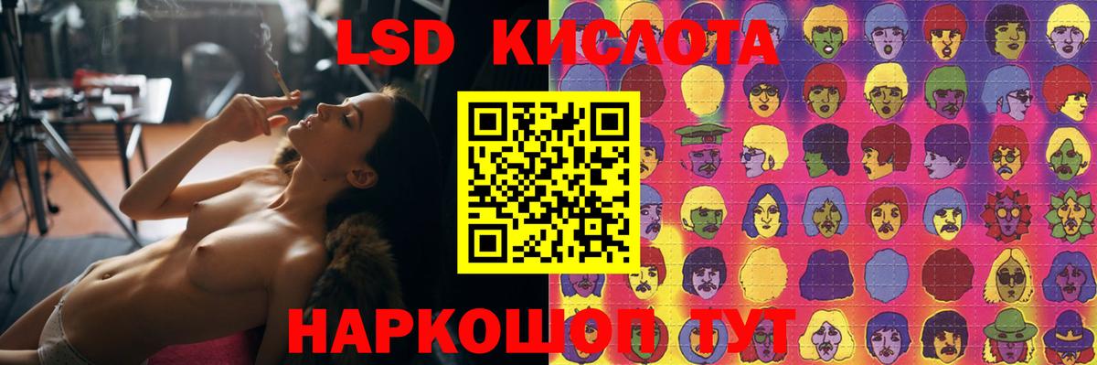 блэк спрут как зайти  Вход с VPN  LSD-25 экстази ecstasy  Зерноград  Лсд 25 экстази кислота 