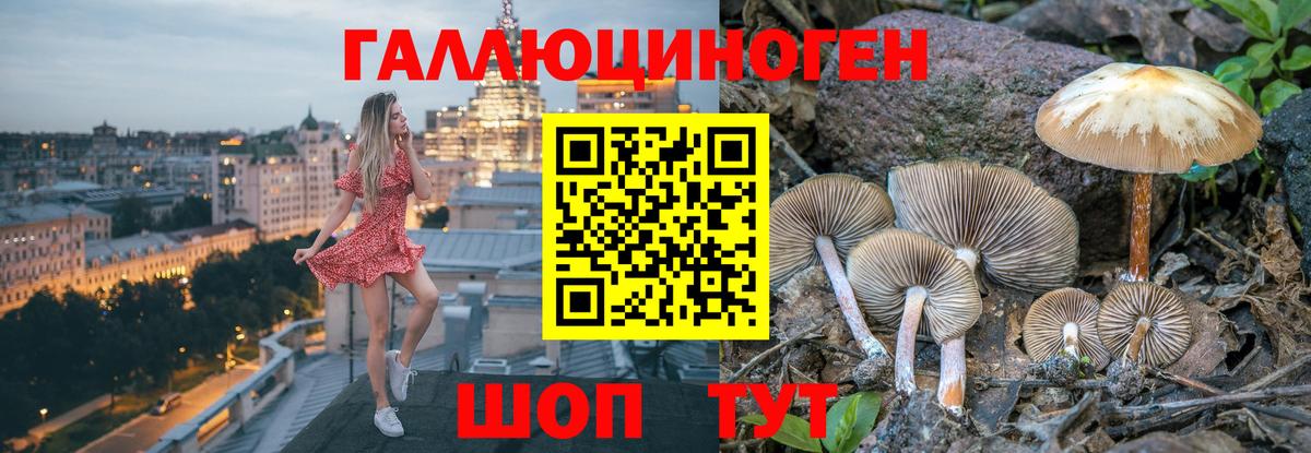 Зерноград  Псилоцибиновые грибы Psilocybe  Галлюциногенные грибы Magic Shrooms  Вход с VPN 